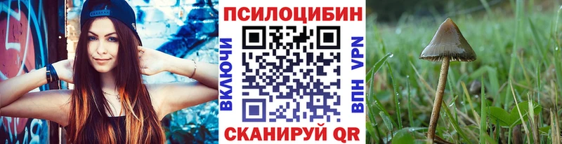 Галлюциногенные грибы Cubensis  Кирс 